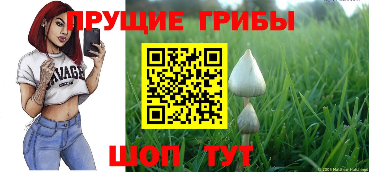 Галлюциногенные грибы Psilocybe  Вход с VPN  Балашиха 